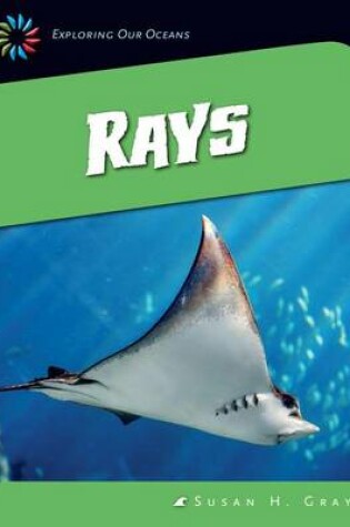 Cover of Rays