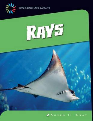 Cover of Rays