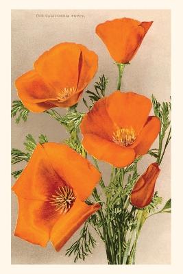 Book cover for The Vintage Journal California Poppies