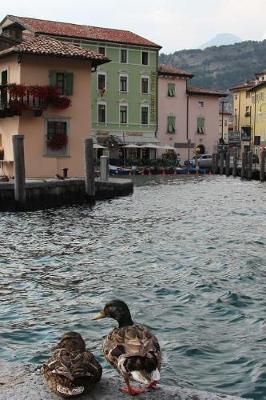 Book cover for Ducks by the Water in Torbole, Italy Journal