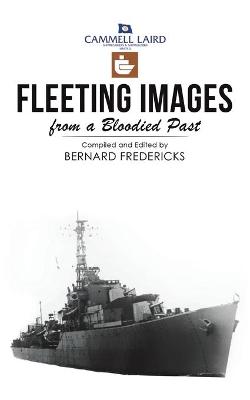 Book cover for Fleeting Images from a Bloodied Past