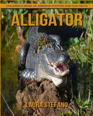 Book cover for Alligator