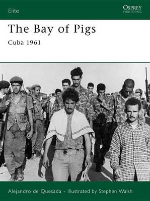 Book cover for Bay of Pigs