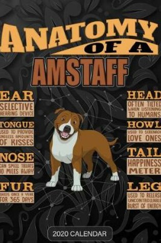 Cover of Anatomy Of A American Staffordshire Terrier