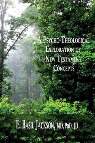 Cover of A Psycho-Theological Exploration of New Testament Concepts