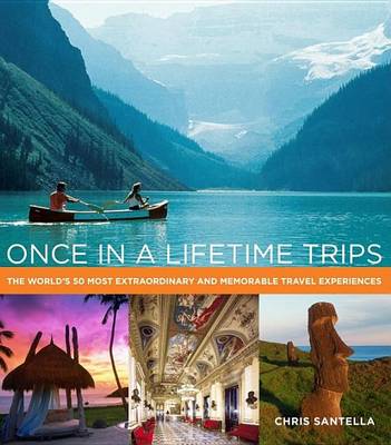 Book cover for Once in a Lifetime Trips