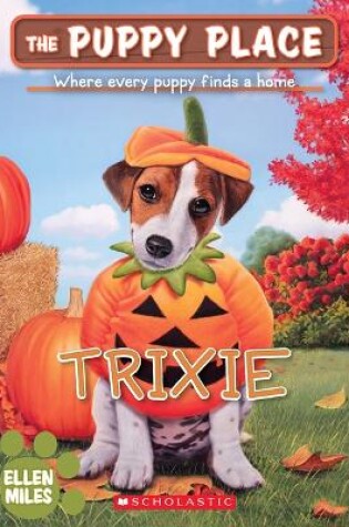 Cover of Trixie