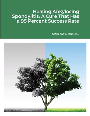 Book cover for Healing Ankylosing Spondylitis