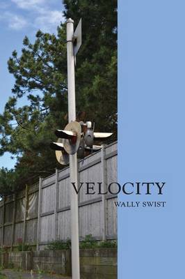 Book cover for Velocity