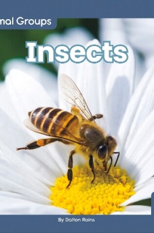 Cover of Animal Groups: Insects