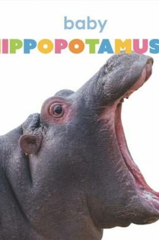 Cover of Baby Hippopotamuses
