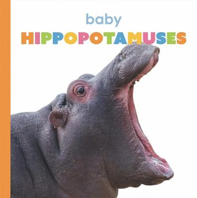 Book cover for Baby Hippopotamuses
