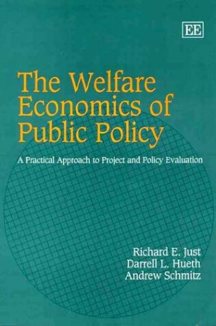 Cover of The Welfare Economics of Public Policy