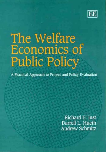 Book cover for The Welfare Economics of Public Policy