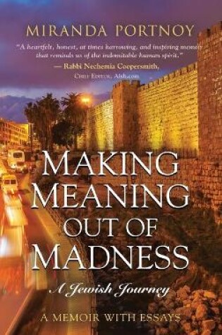 Cover of Making Meaning Out of Madness