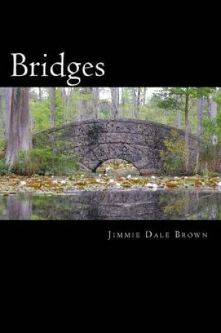 Cover of (We All Have) Bridges to Cross