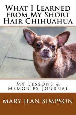 Cover of What I Learned from My Short Hair Chihuahua