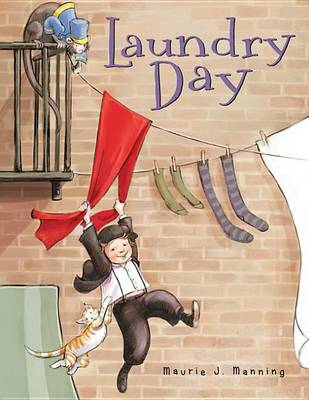 Book cover for Laundry Day