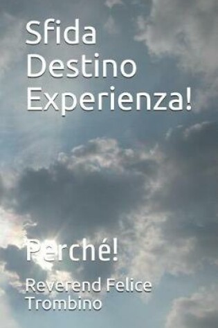 Cover of Sfida Destino Experienza!