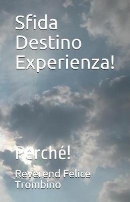 Book cover for Sfida Destino Experienza!