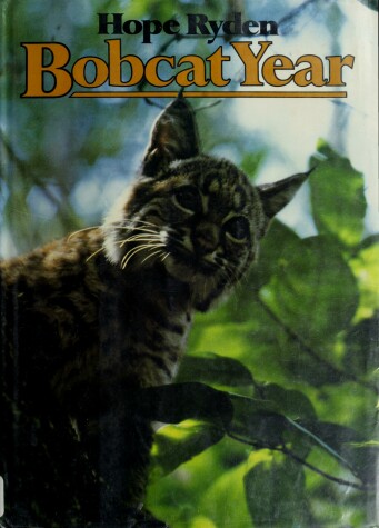 Book cover for Bobcat Year