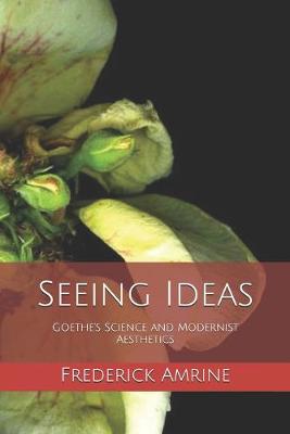 Book cover for Seeing Ideas