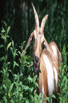 Book cover for Farm Journal Goat Eating Plants