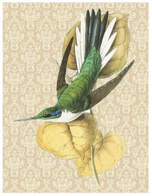 Book cover for Vintage Hummingbird Print - Oversized 8.5x11, 150 Page Lined Blank Journal Notebook