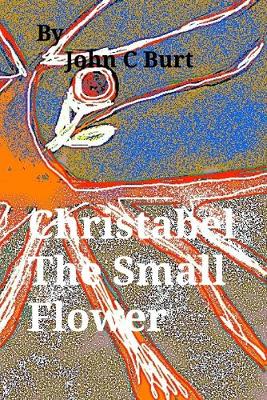 Book cover for Christabel The Small Flower.