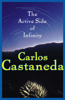 Book cover for Active Side of Infinity