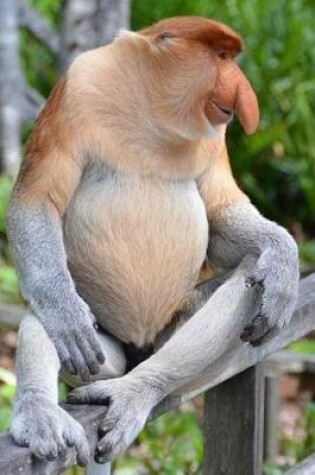 Cover of Proboscis Monkey is Amused Journal