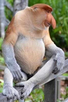 Book cover for Proboscis Monkey is Amused Journal