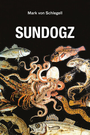 Book cover for Sundogz