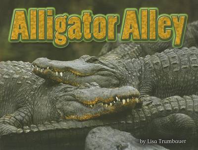 Book cover for Alligator Alley