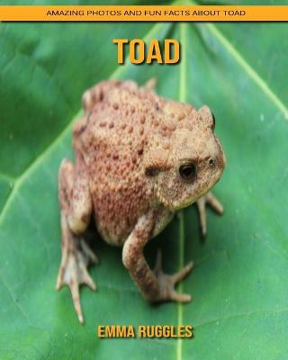 Book cover for Toad