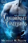 Book cover for Chaudrons et confessions