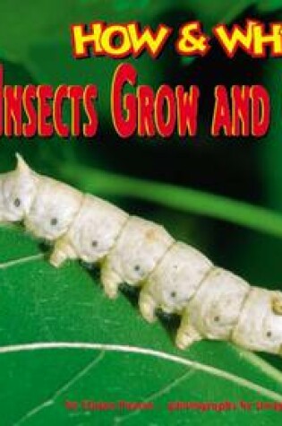 Cover of How and Why Insects Grow and Change