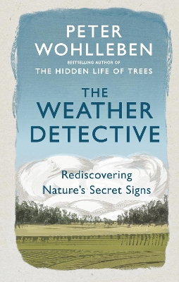 Book cover for The Weather Detective