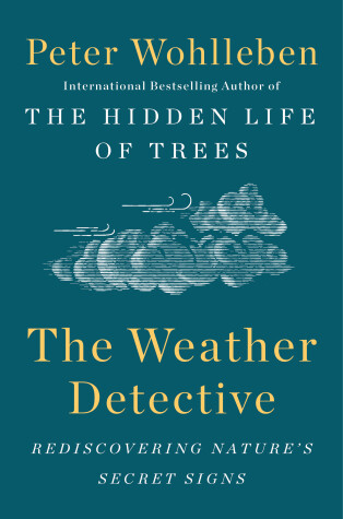 Book cover for The Weather Detective