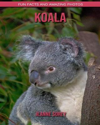 Book cover for Koala