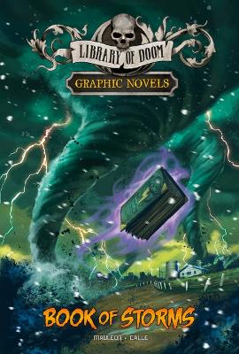 Cover of Book of Storms