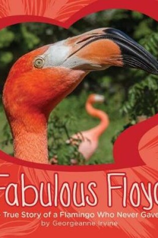 Cover of Fabulous Floyd
