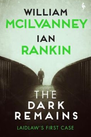 Cover of The Dark Remains