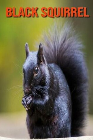 Cover of Black Squirrel