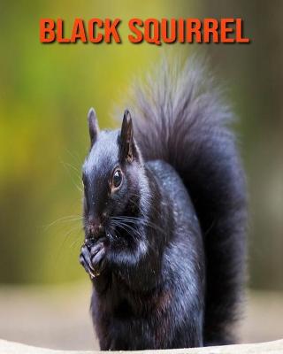 Book cover for Black Squirrel