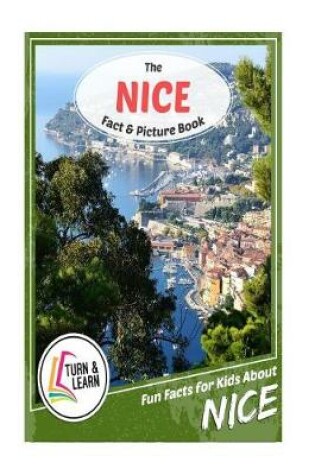 Cover of The Nice Fact and Picture Book