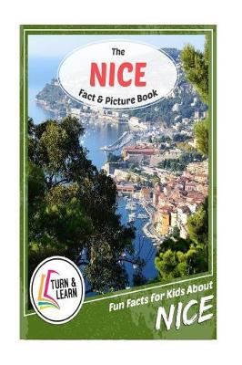 Book cover for The Nice Fact and Picture Book