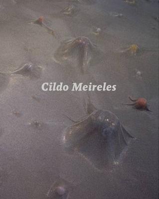 Book cover for Cildo Meireles