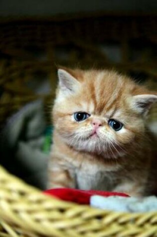 Cover of The Exotic Shorthair Cat Journal "My Food Dish is Half-Empty; I'm Gonna Starve!"