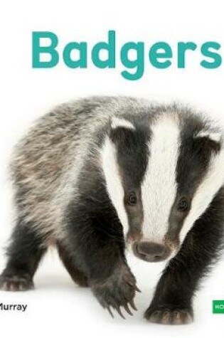 Cover of Badgers